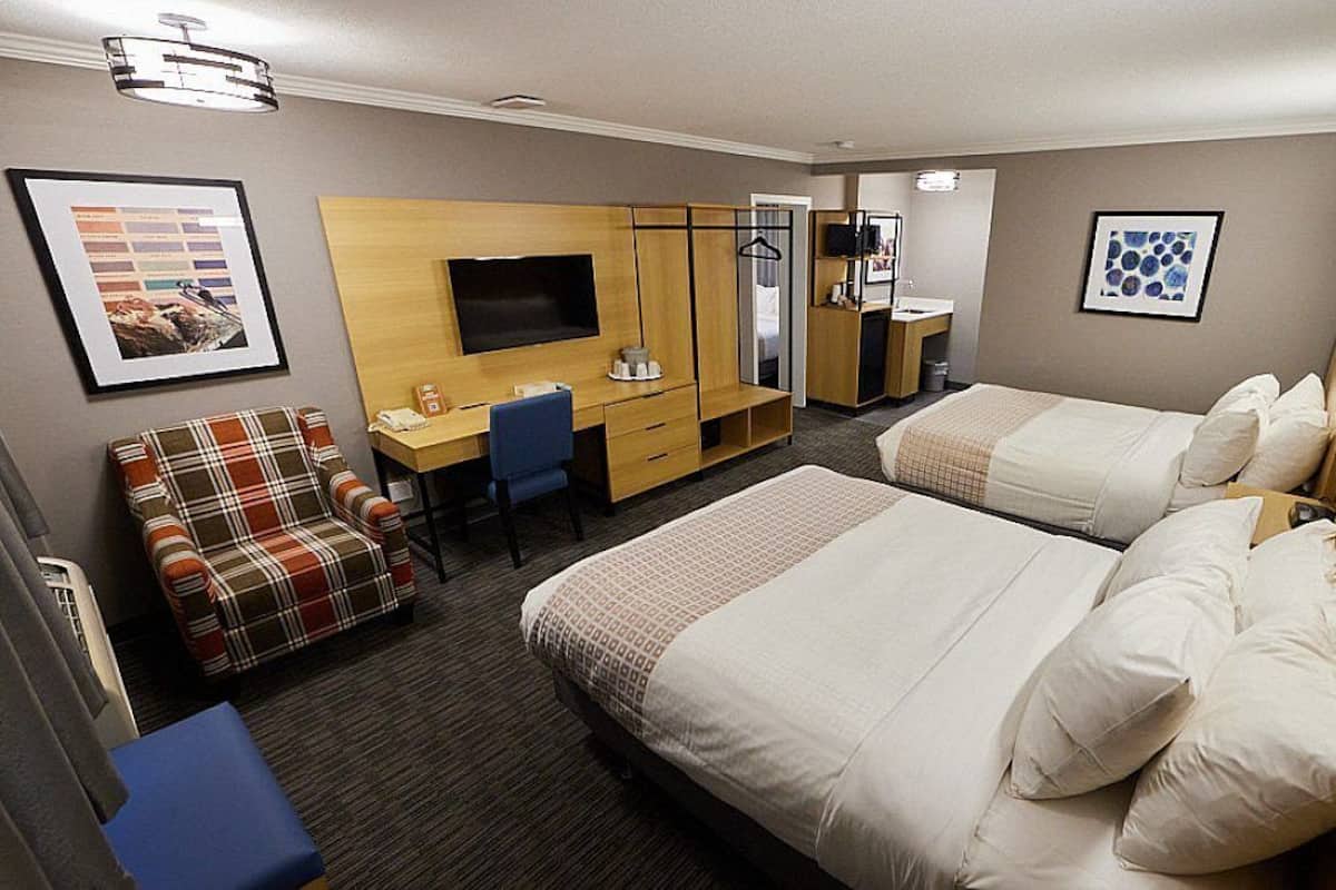 Standard Suite, Multiple Beds (No Pets) | 2 bedrooms, pillowtop beds, desk, iron/ironing board