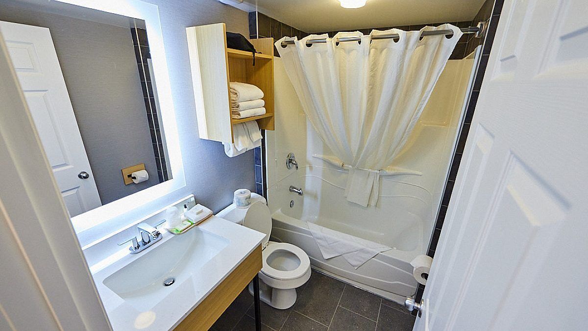 standard suite, multiple beds (no pets) | bathroom | shower, free toiletries, hair dryer, towels