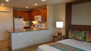 Phòng, 1 phòng ngủ | Khu phòng khách | Đầu đĩa DVD