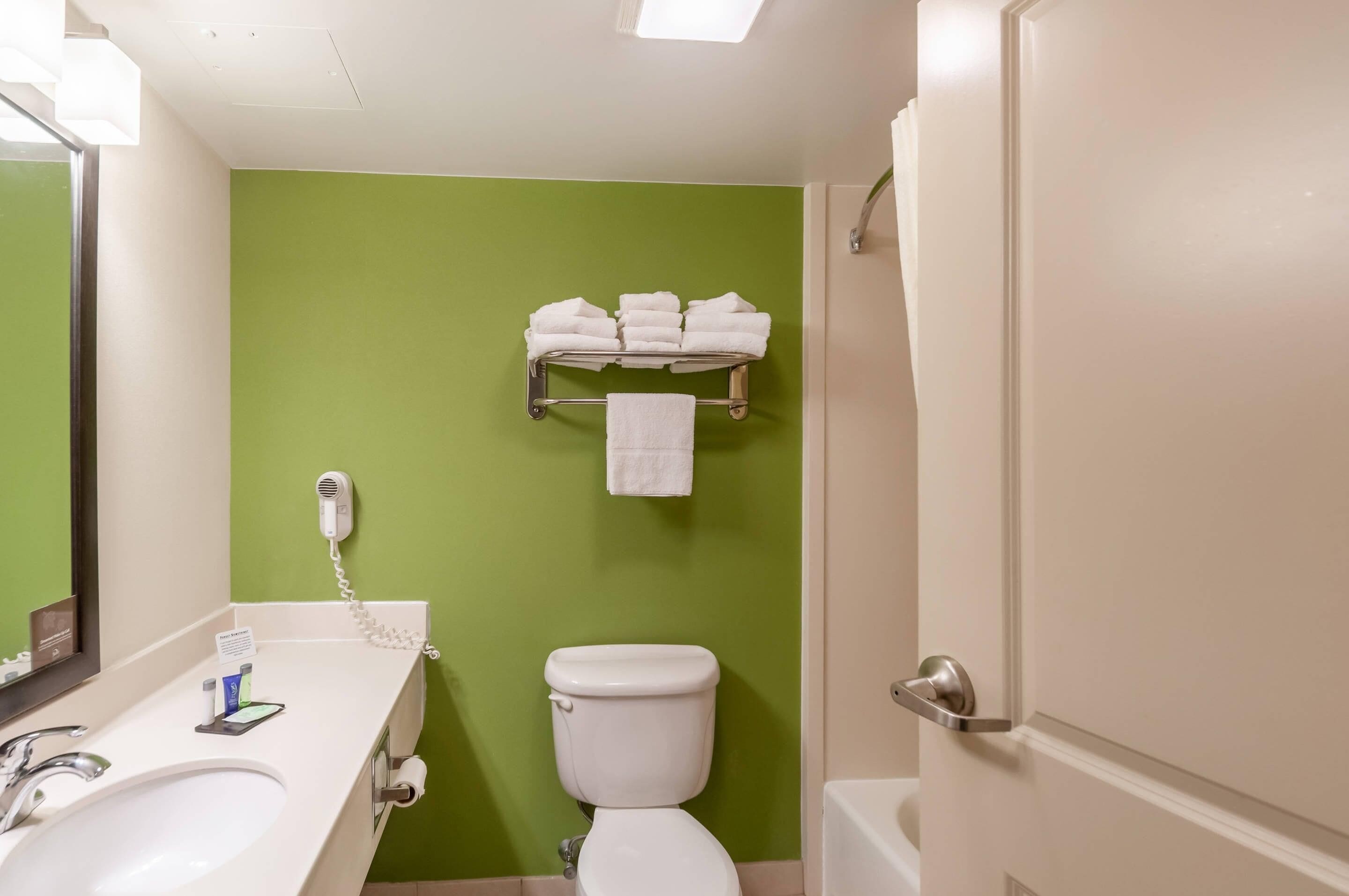 Suite, 1 King Bed with Sofa bed, Non Smoking | Desk, blackout drapes, iron/ironing board, cribs (surcharge)