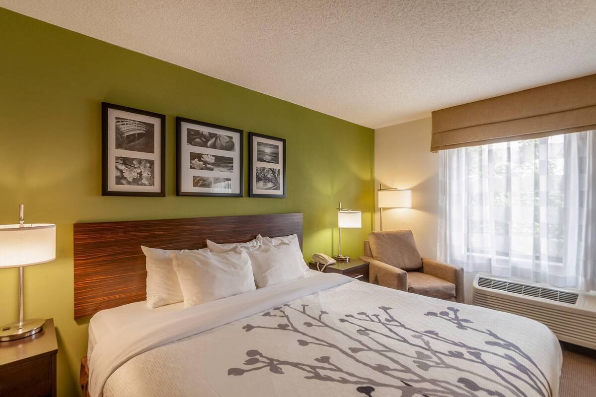 Suite, 1 King Bed with Sofa bed, Non Smoking | Desk, blackout curtains, iron/ironing board, cots/infant beds