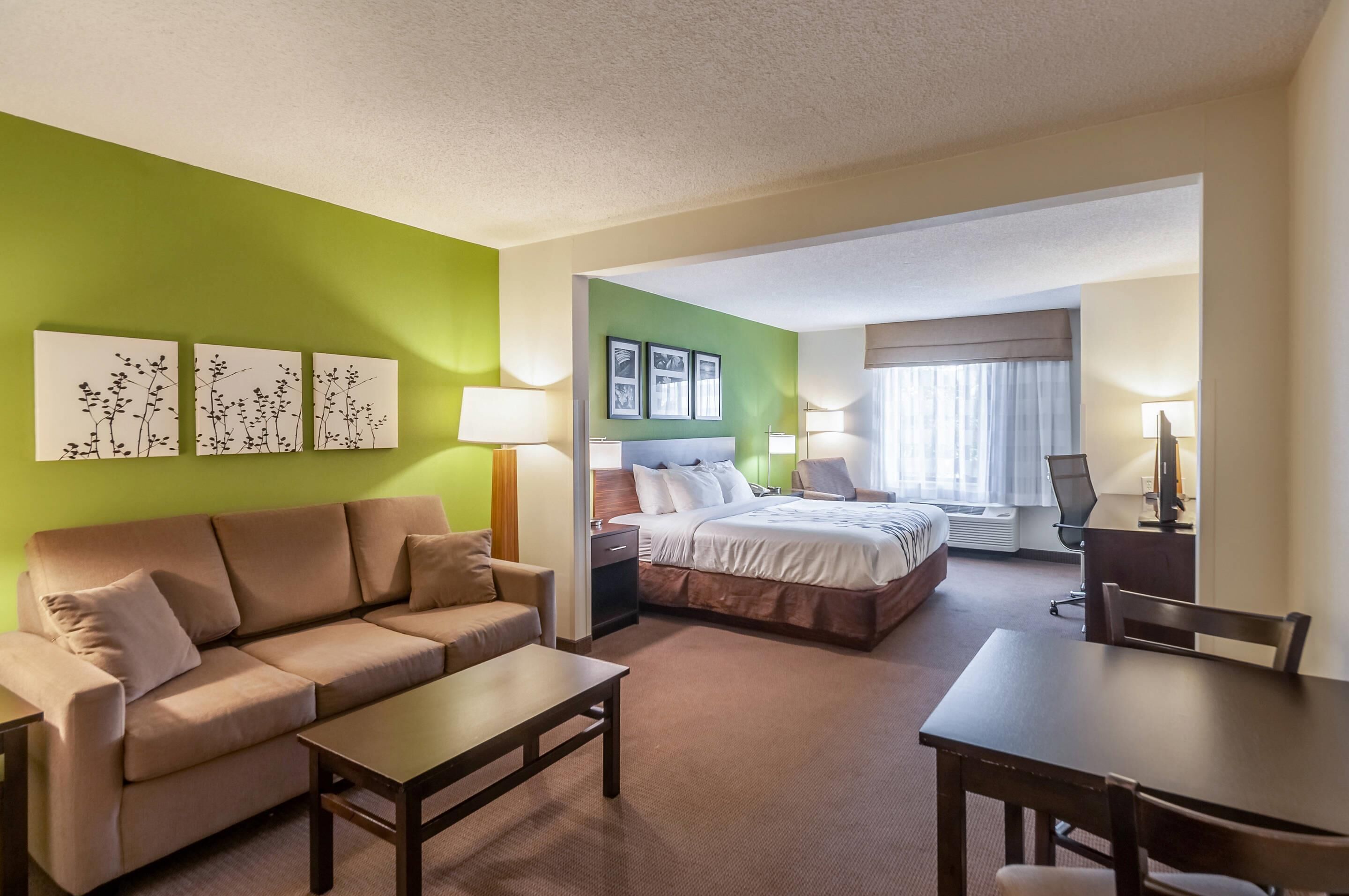 Suite, 1 King Bed with Sofa bed, Non Smoking