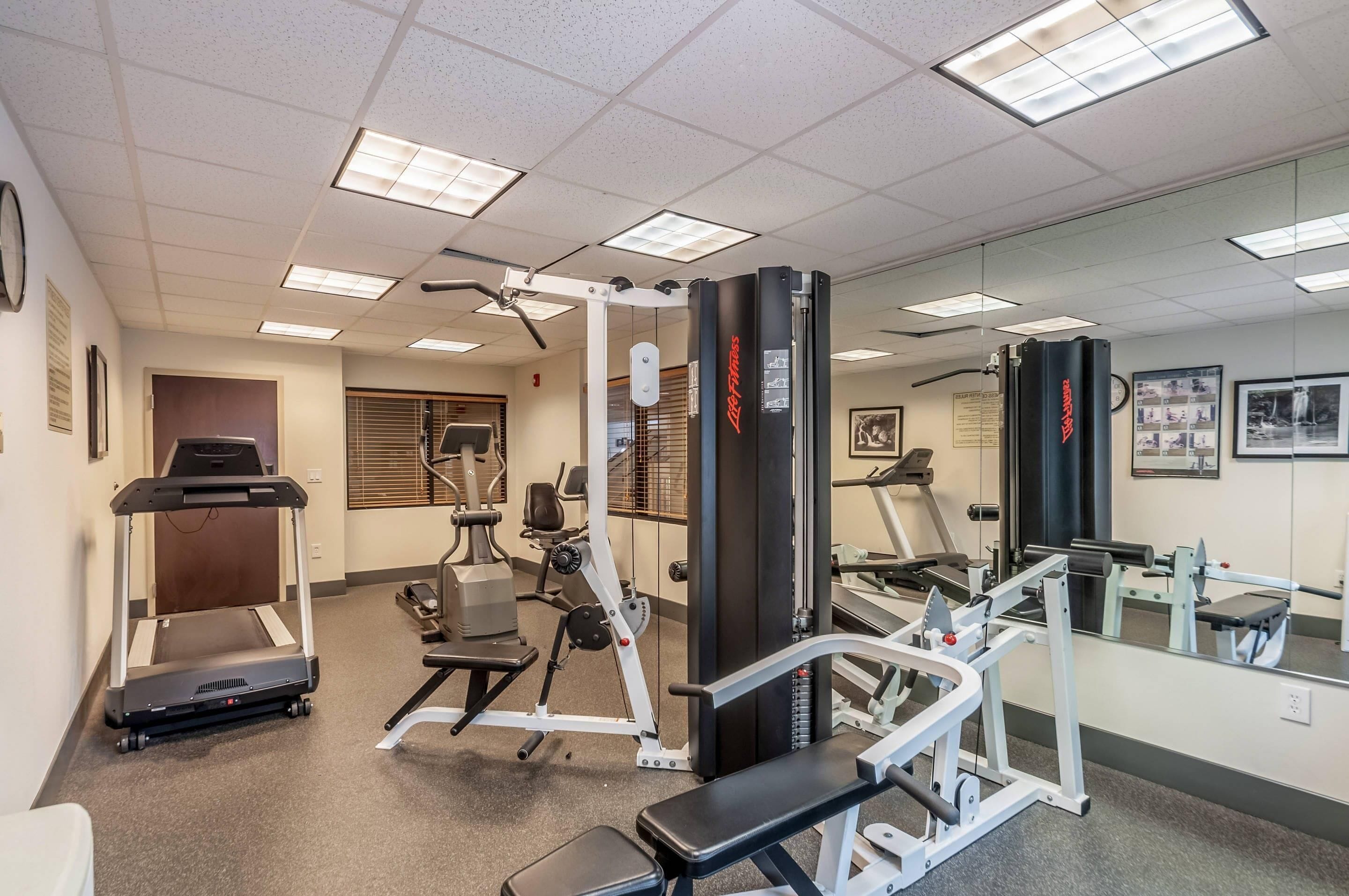 A gym with various exercise equipment, including treadmills, weight machines, and a bench.