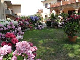 Un patio con una variedad de plantas y flores en macetas, incluyendo hortensias en rosa, morado y blanco.