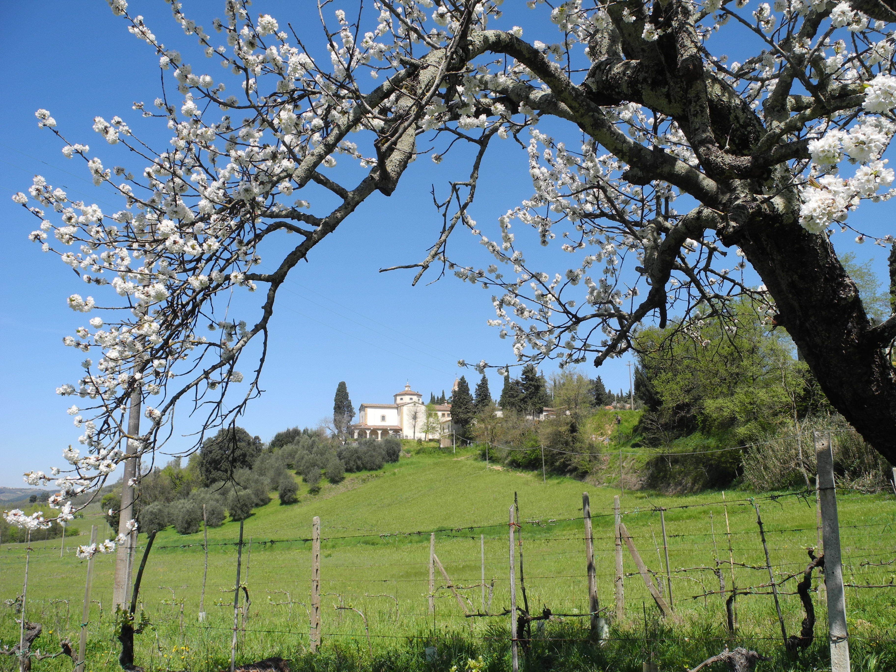 Photo - Hotel Le Renaie