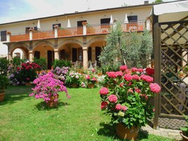 Vista desde la propiedad