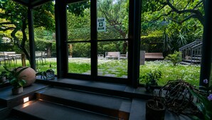 Un invernadero con una puerta de cristal que da a un jardín. En el interior, hay escalones, un banco y una planta en maceta.