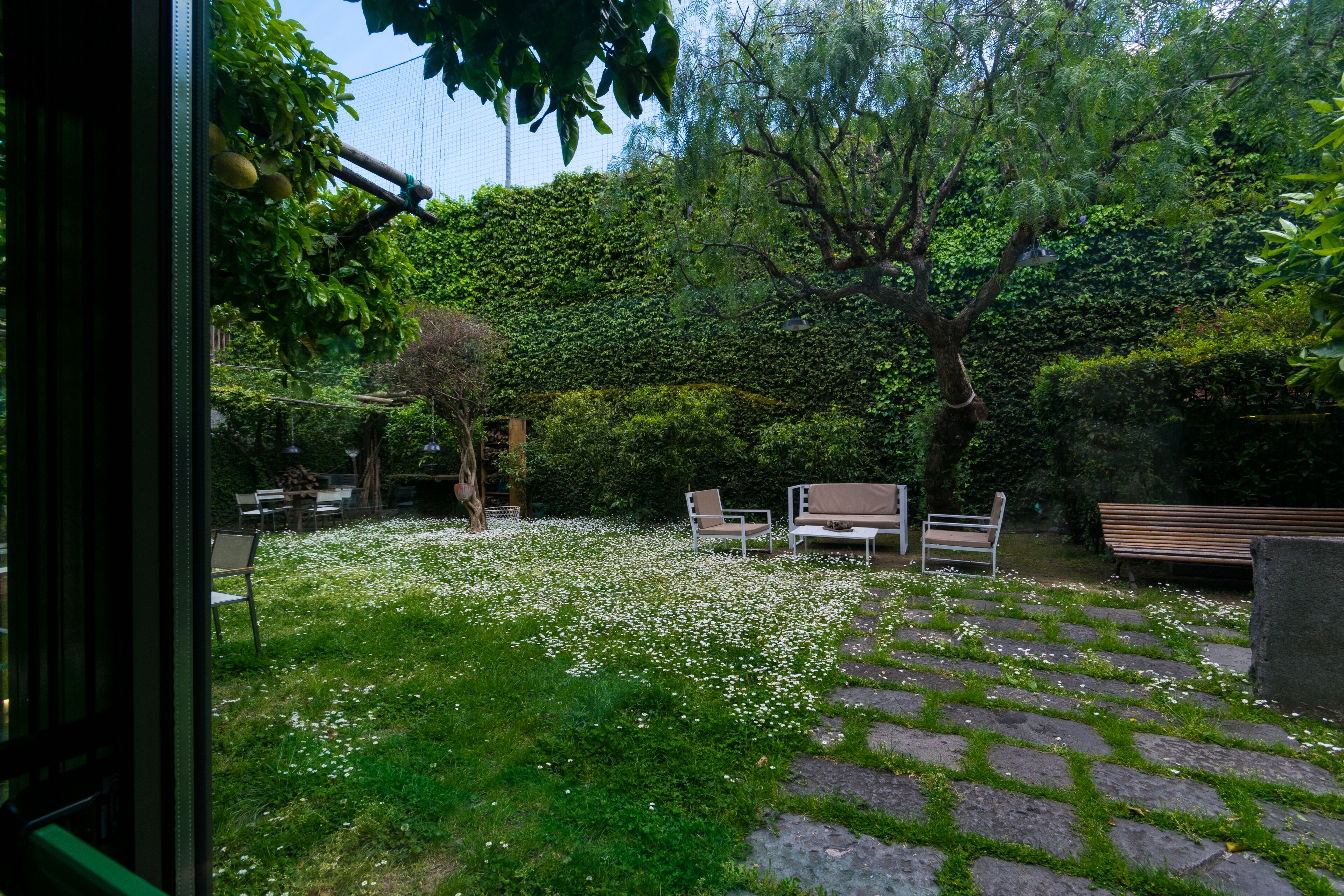 A garden with stone pathways, benches, and a tree with hanging fruit.