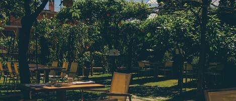 An outdoor dining area with tables and chairs, surrounded by trees and a clear sky.