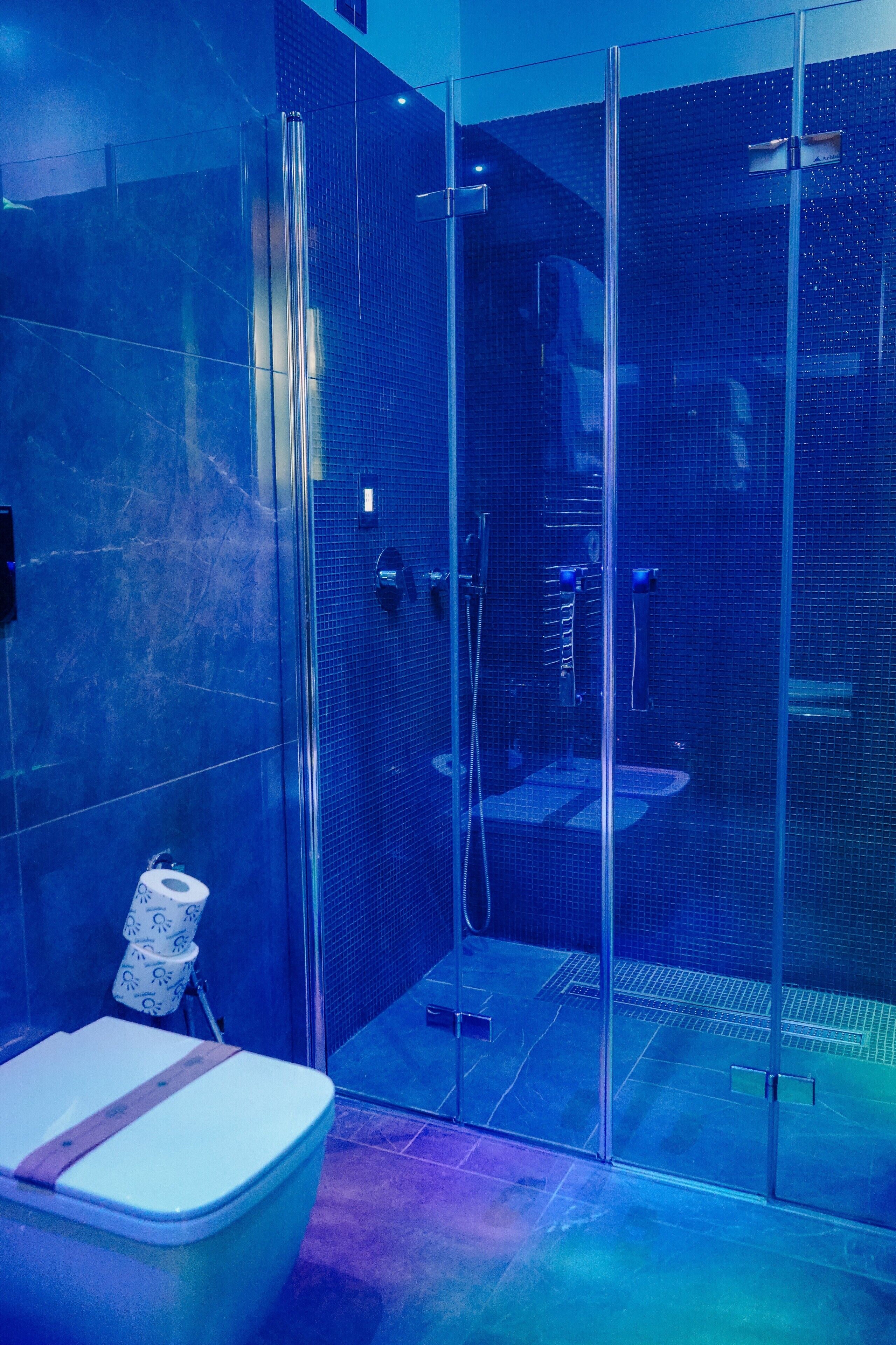 deluxe suite (mini suite elegant) | bathroom | combined shower/bathtub, free toiletries, hair dryer, bathrobes