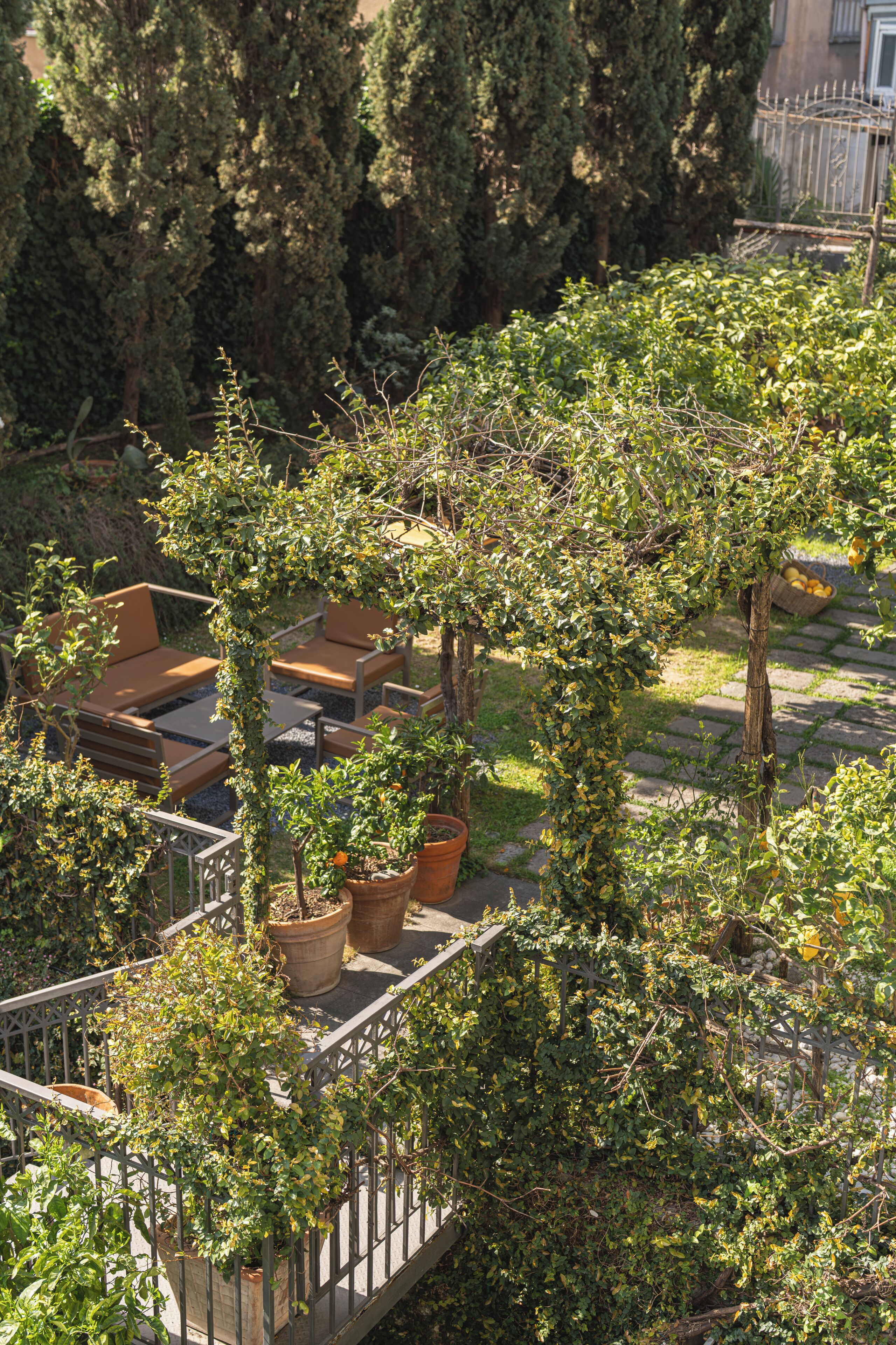 Una terraza con mobiliario exterior, rodeada de follaje y árboles.
