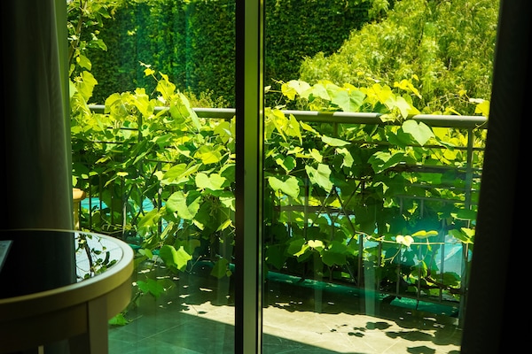 Suite Junior (Garden) | Vue de la chambre