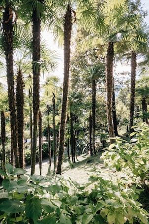 Jardín