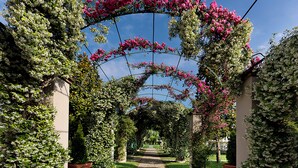 Un sentier de jardin agrémenté d’une arche fleurie, entouré d’une végétation luxuriante et de plantes en pot.