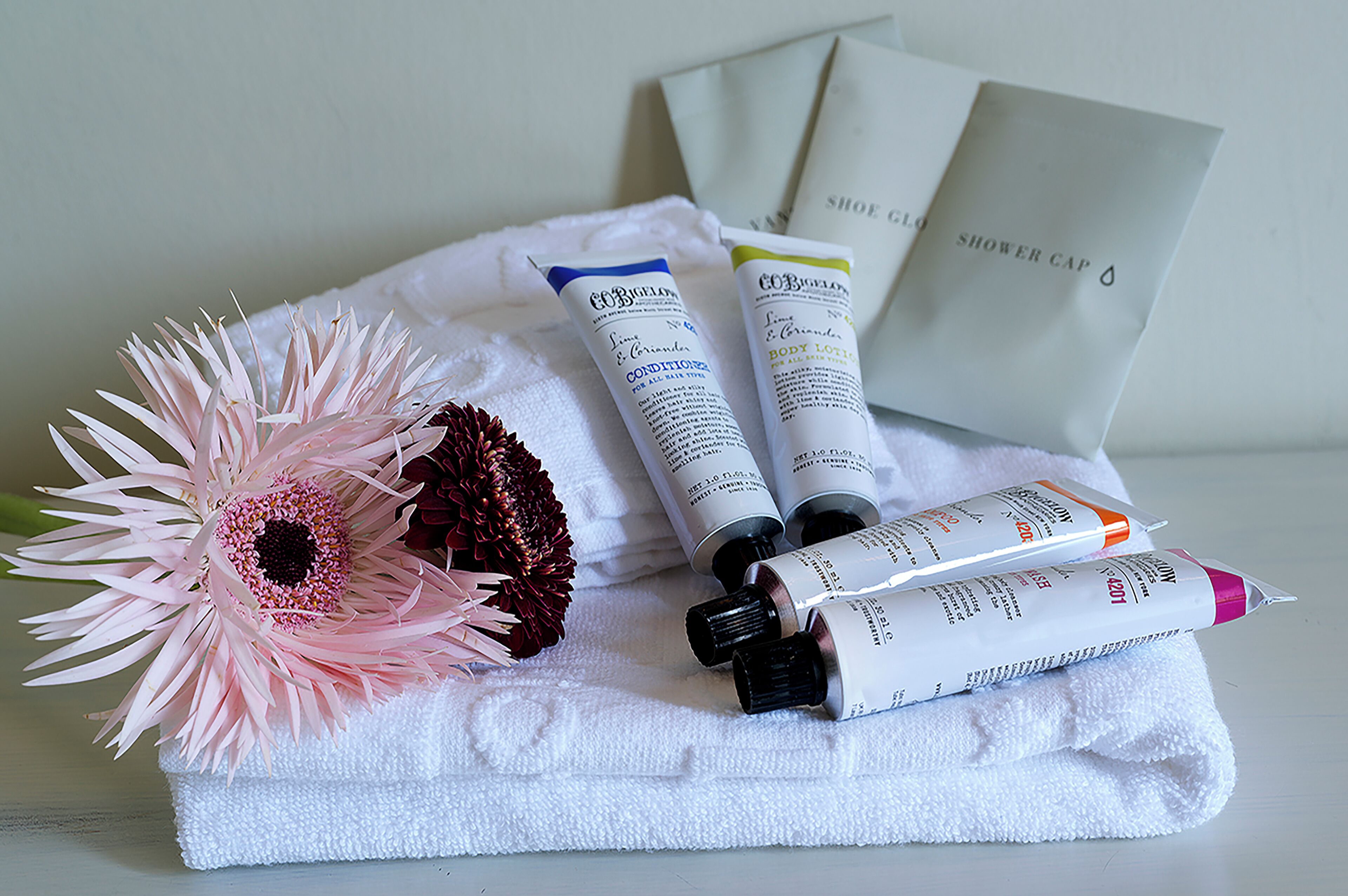 eco-friendly toiletries, hair dryer, bidet, towels