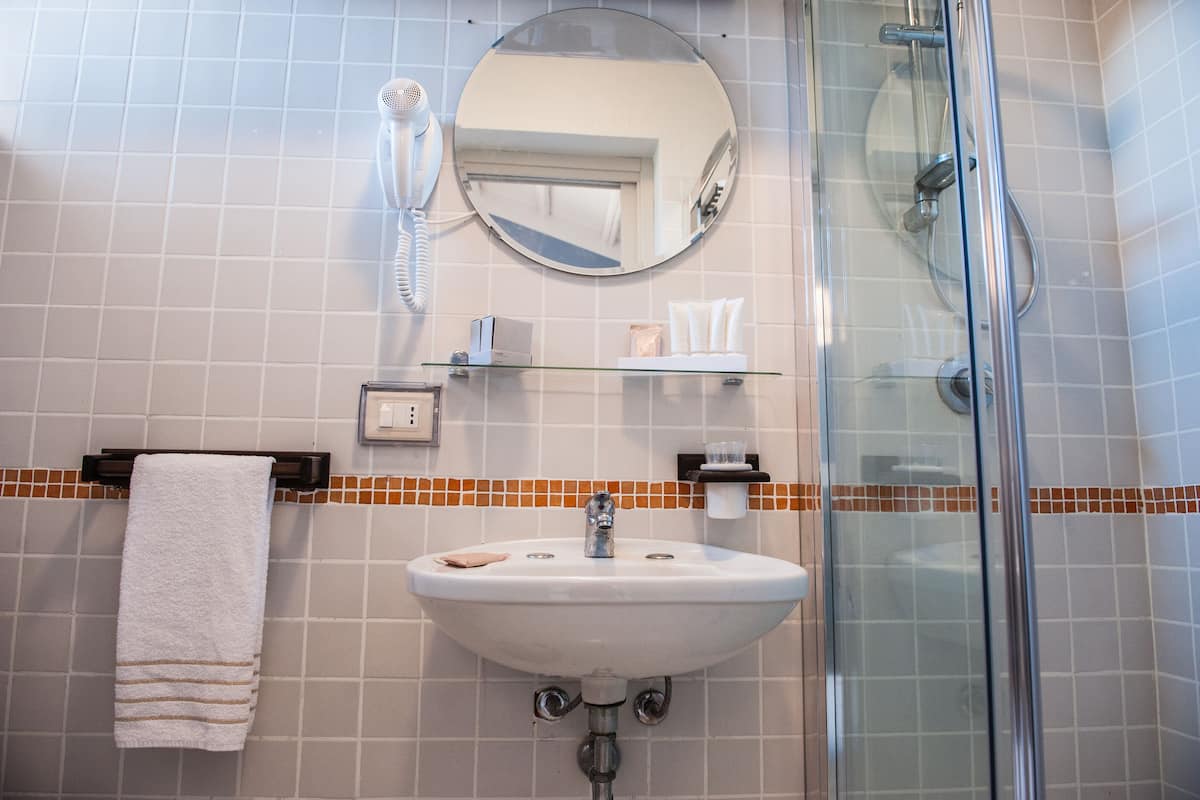 shower, free toiletries, hair dryer, towels