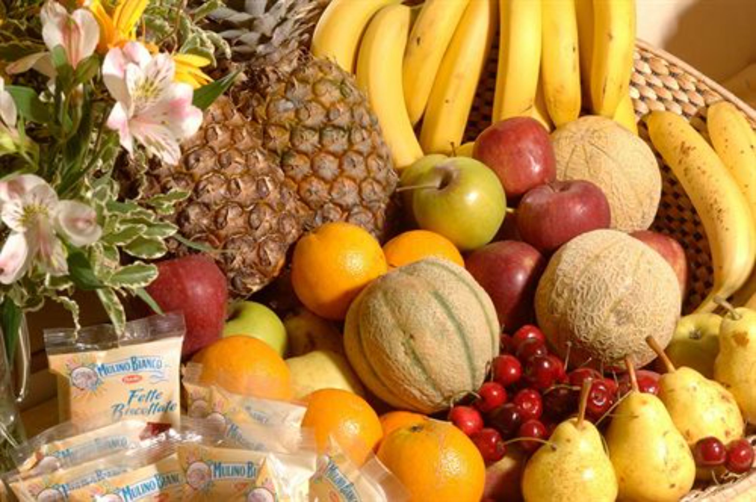 Foto - Hotel Terminal