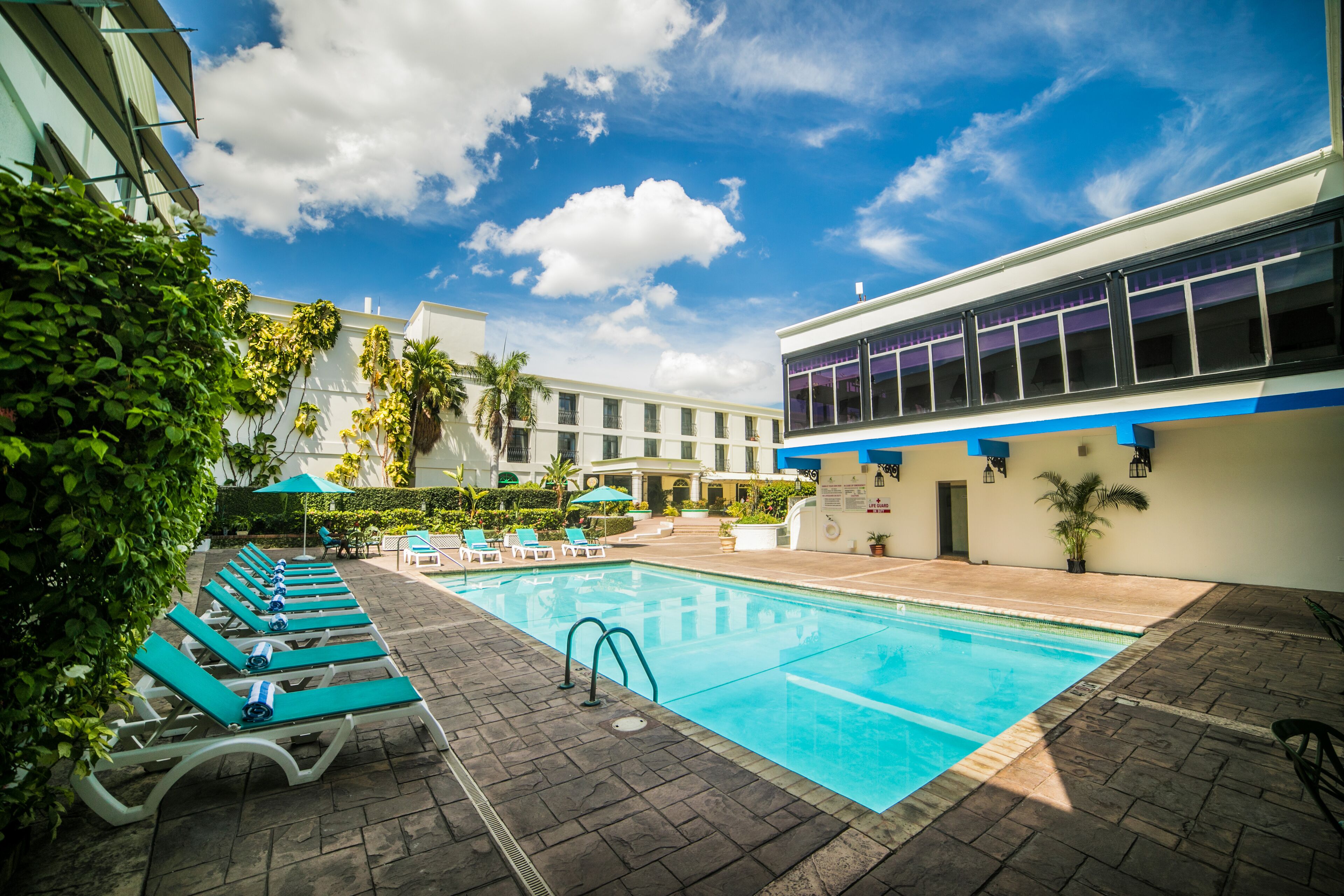 Junior Suite King | View from room