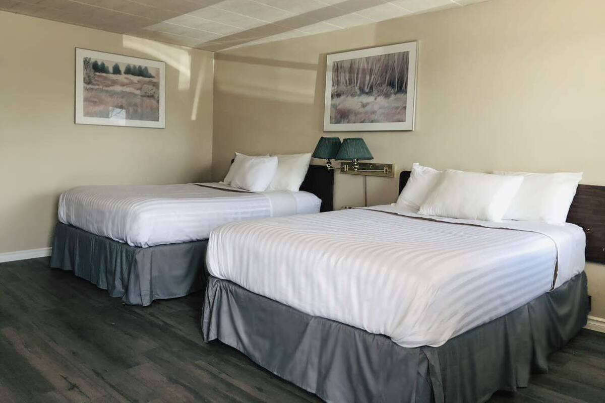 Een hotelkamer met twee bedden, een nachtkastje met een lamp en twee ingelijste foto's aan de muur.