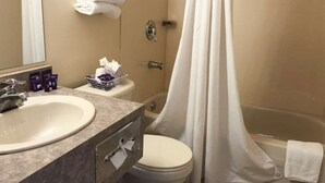 Une salle de bain avec un lavabo, des toilettes et un rideau de douche.