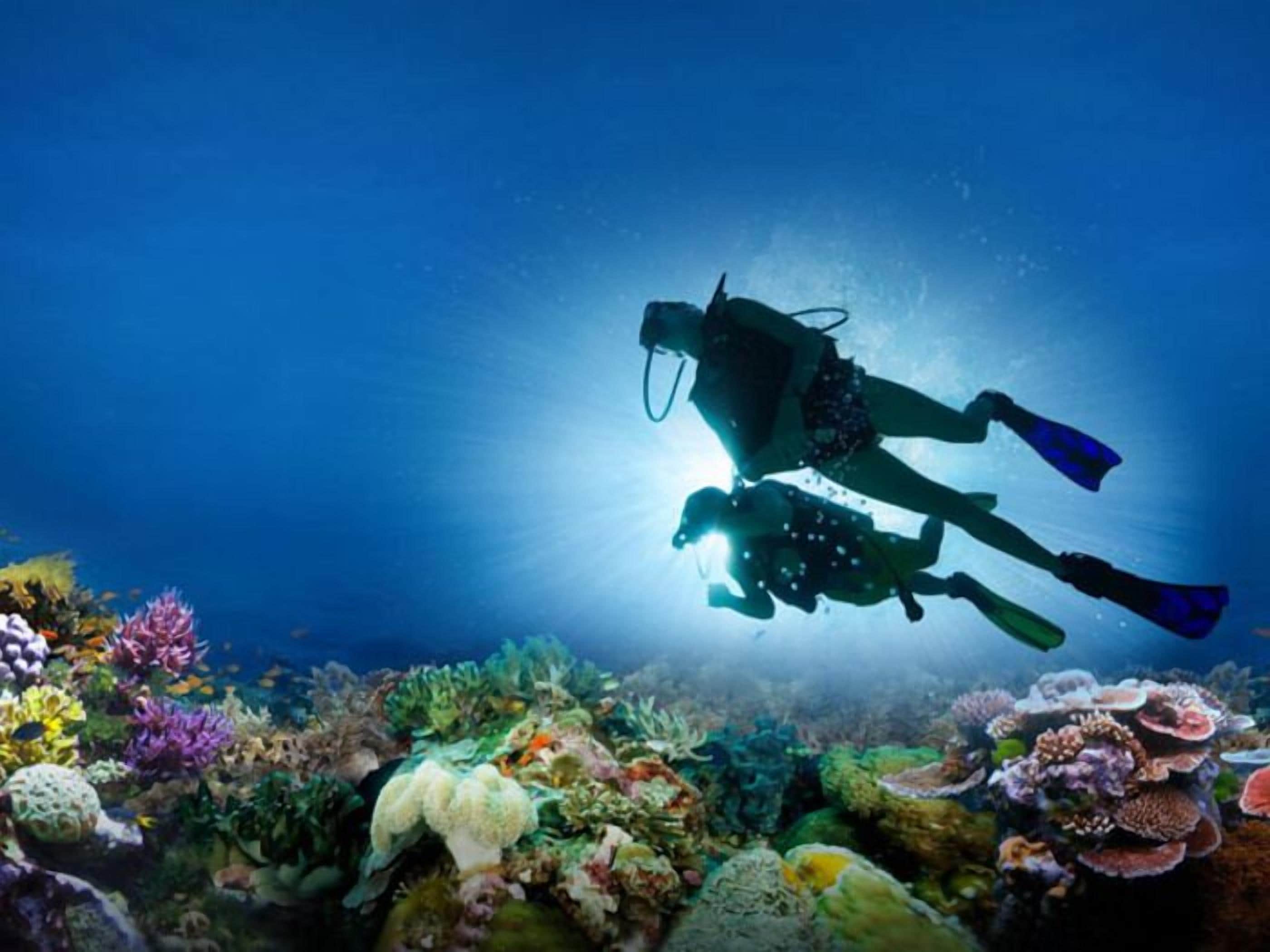 A diver in a dark wetsuit with fins, surrounded by colorful coral reefs.