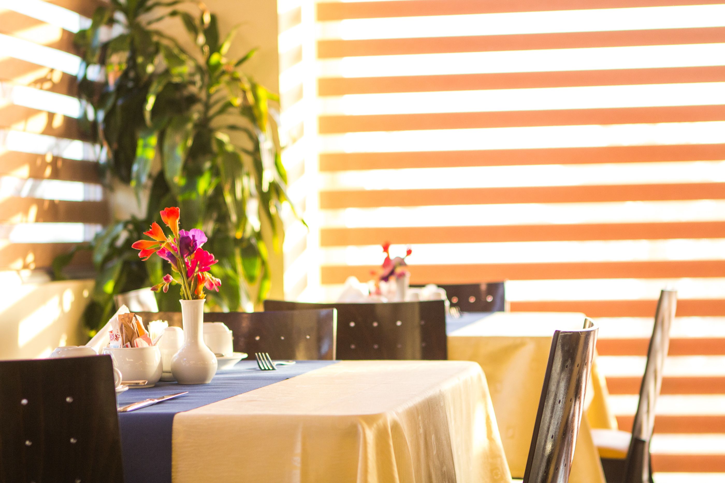 Foto - Tropical Hotel