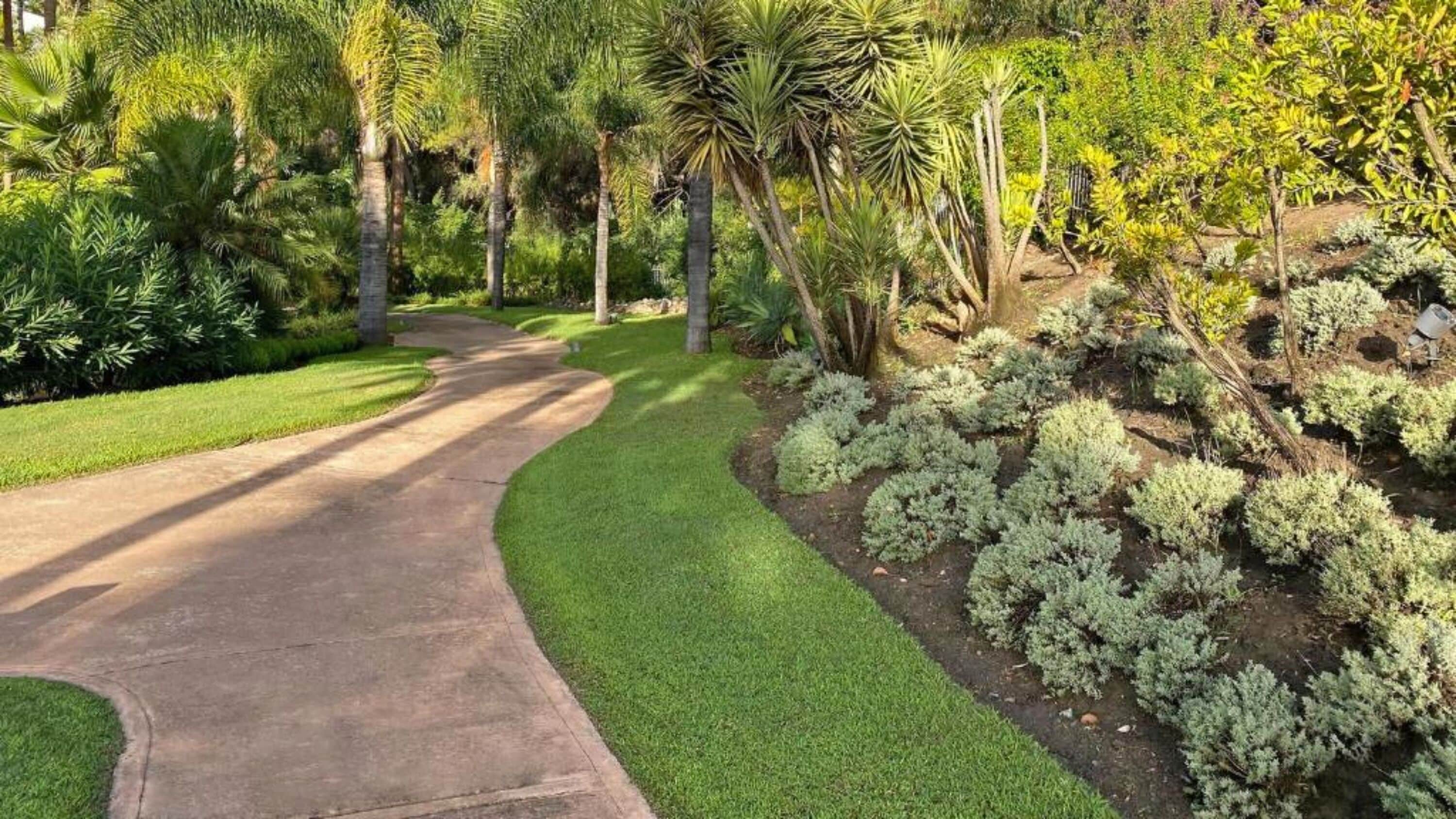 Photo - Alanda Marbella Hotel & Wellness