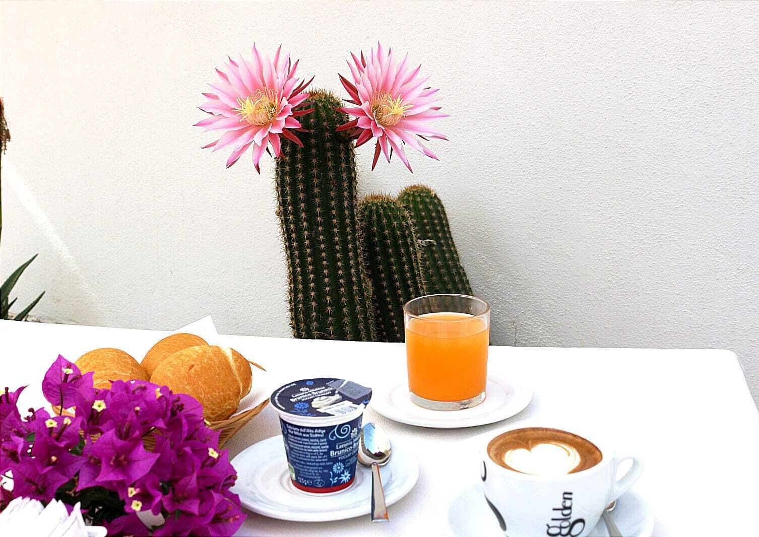 free daily continental breakfast