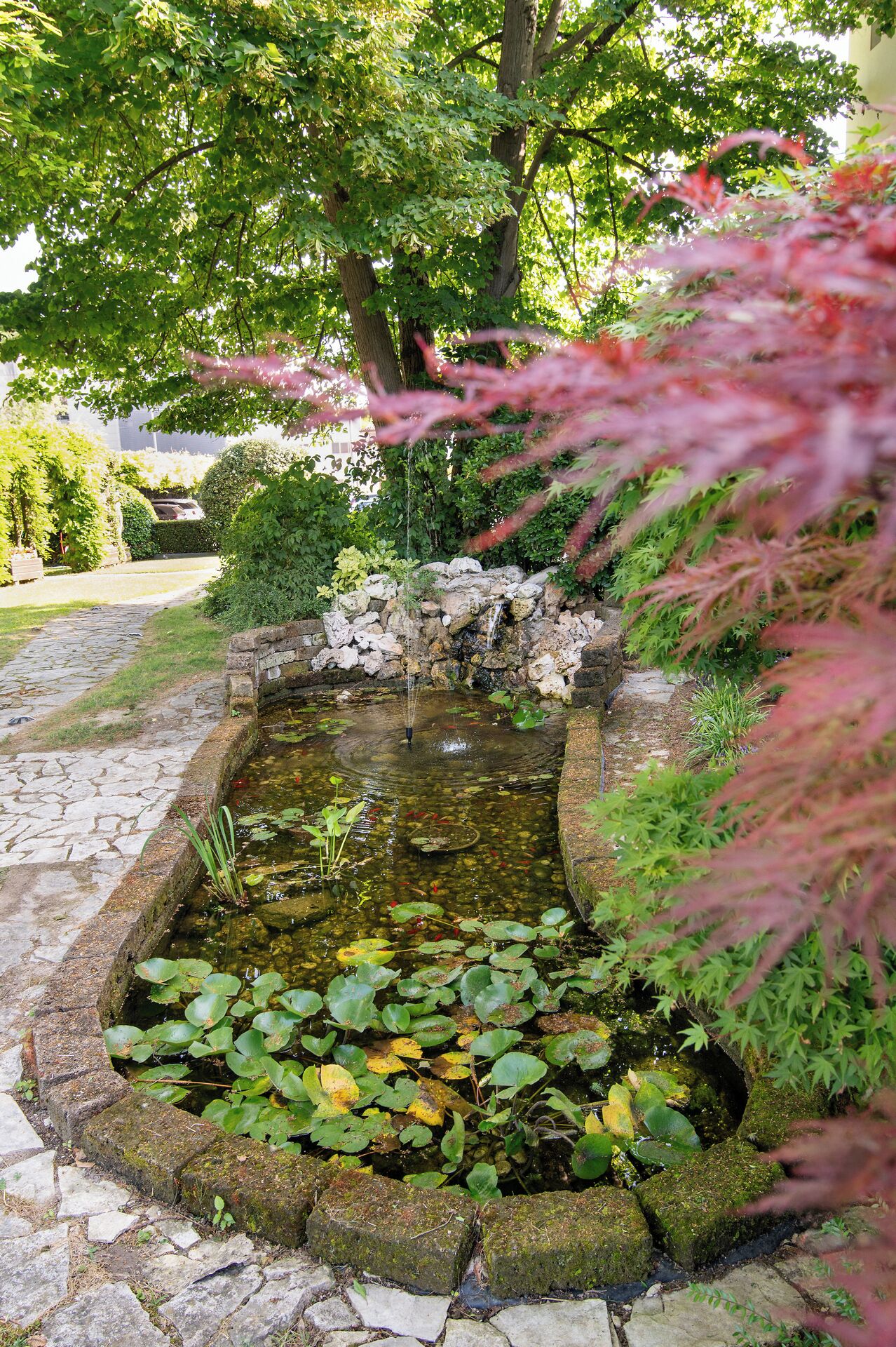 A small pond with a stone border, surrounded by lush greenery and a stone pathway.