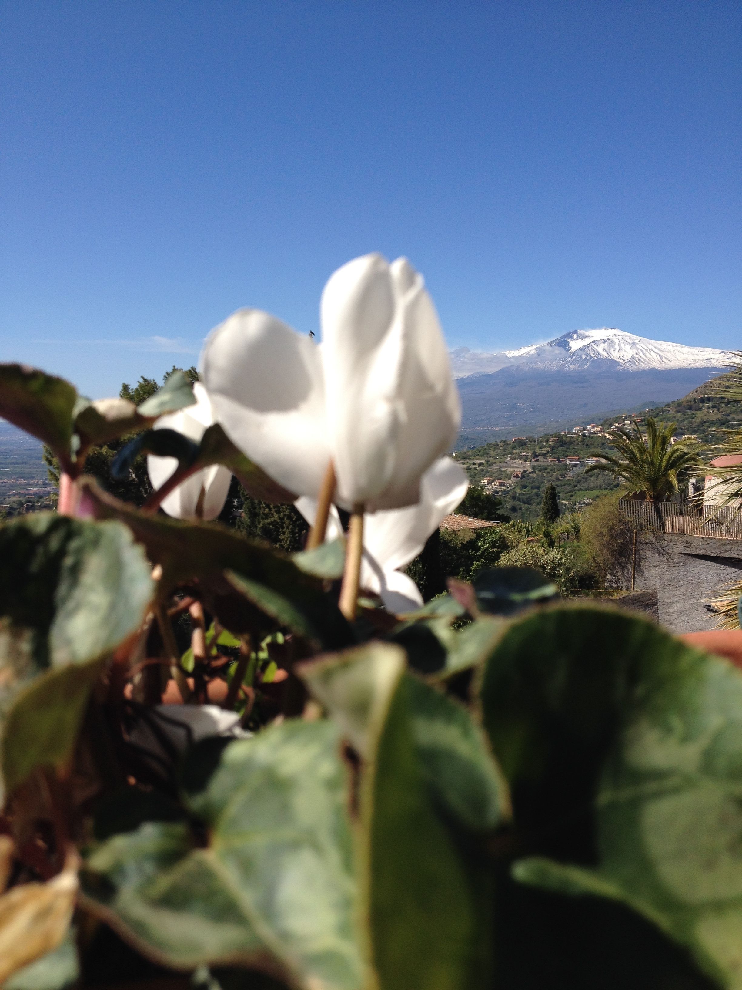 Photo - Villa Greta Hotel Rooms & Suites