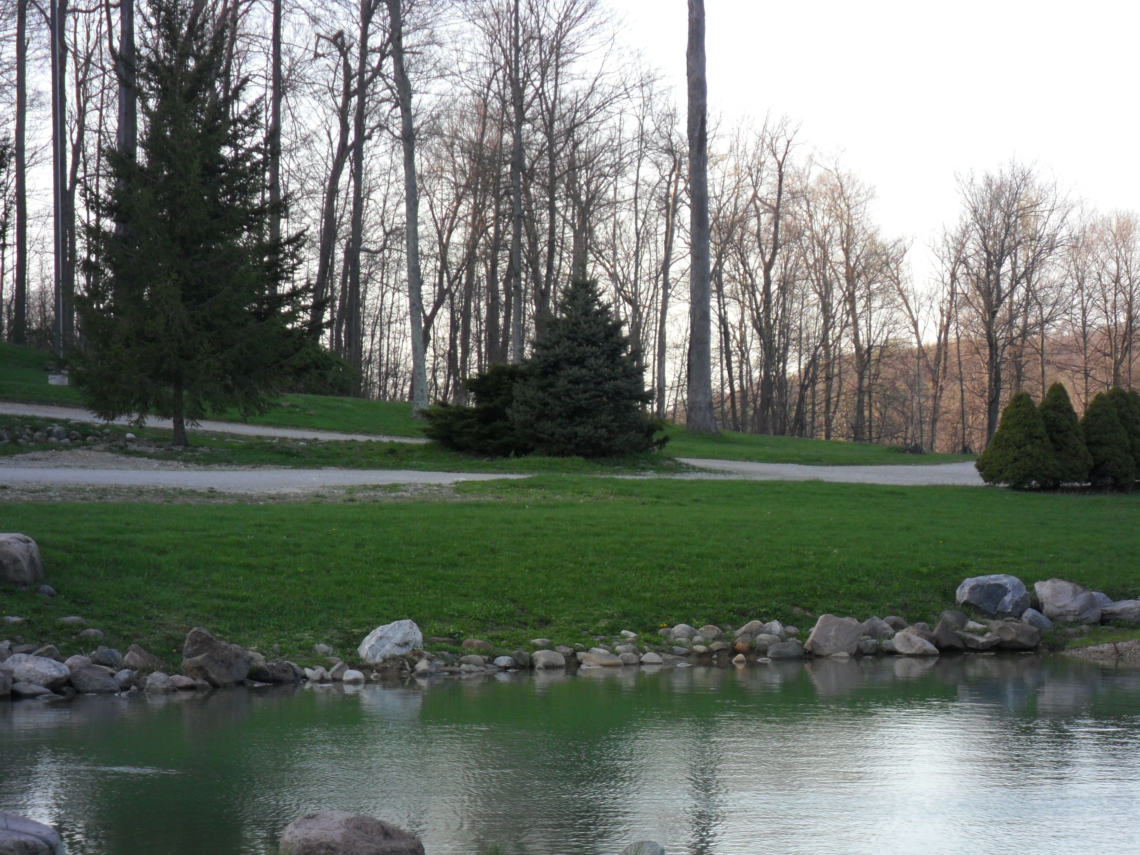 A serene park with a pond, a walking path, and a variety of trees.