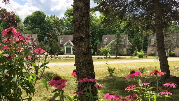A residential area with multiple houses, a grassy lawn, and flowering plants. - Spruce Hill Inn and Cottages (Mansfield)