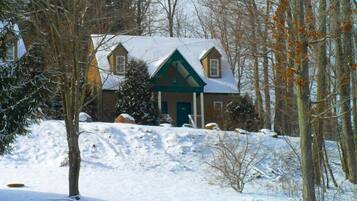A house with a steeply pitched roof, a front porch, and a snow-covered landscape.