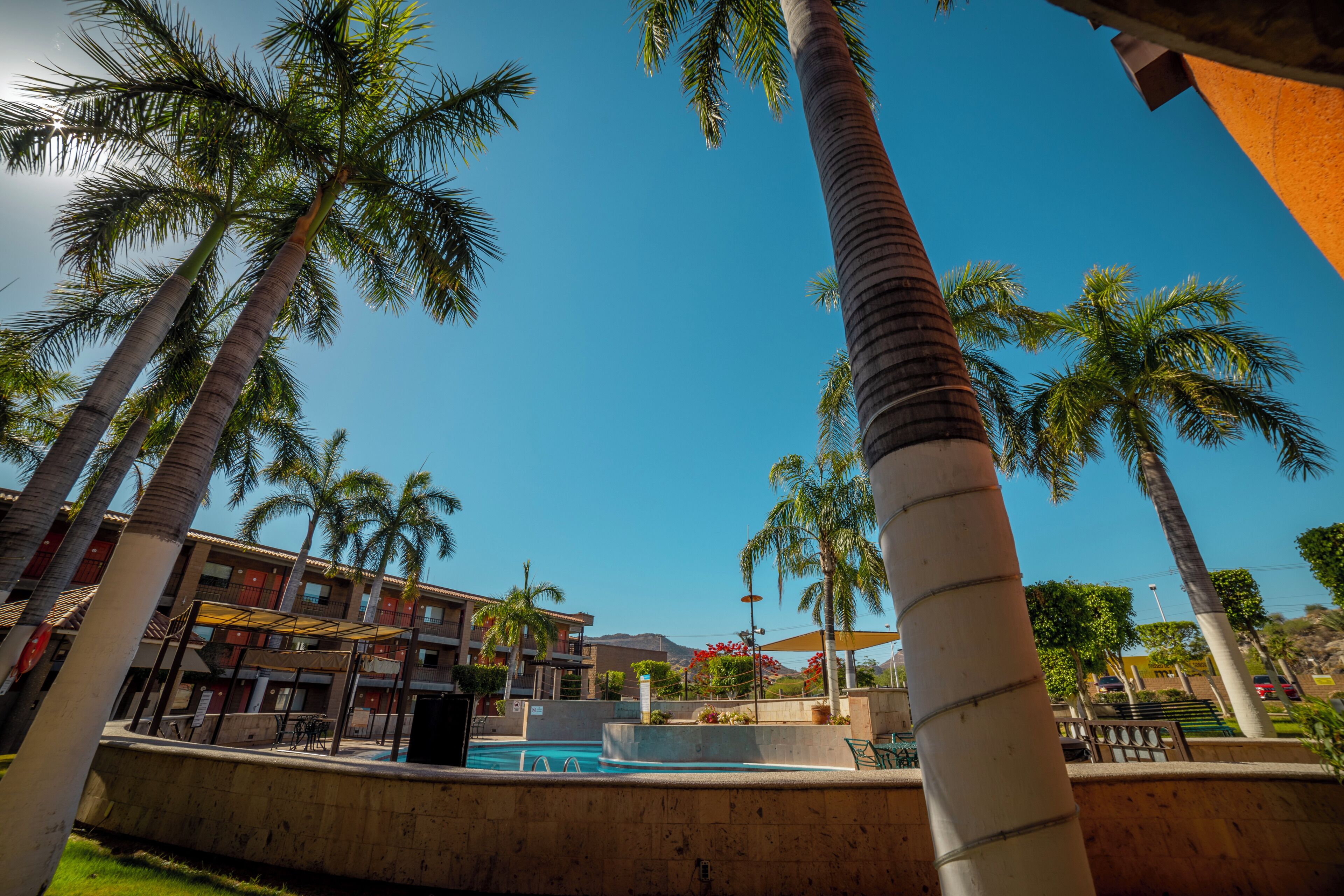 A pool area with palm trees, a building with balconies, and a clear blue sky.