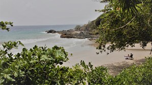 Uma praia com terreno rochoso e vegetação densa.
