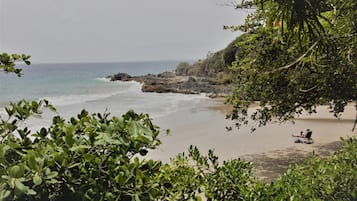 Une plage au terrain rocheux et à la végétation luxuriante.
