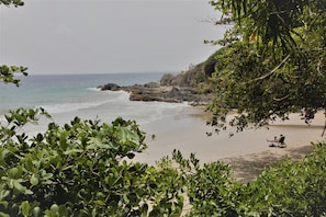 Private beach, beach shuttle, sun-loungers, beach umbrellas