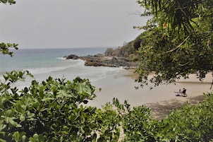 Una playa con terreno rocoso y vegetación densa.