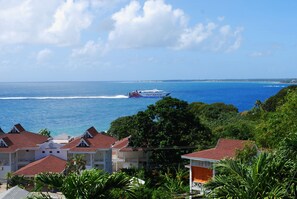 Beach/ocean view