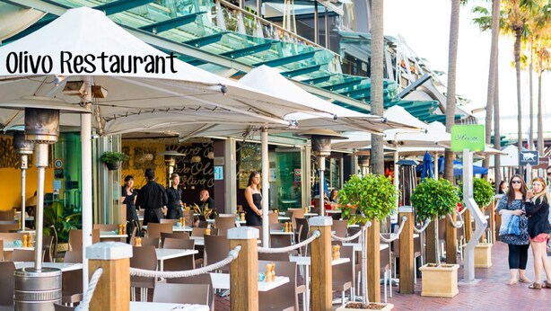 An outdoor dining area of Olivo Restaurant with tables and chairs, surrounded by potted plants and umbrellas. - APX Darling Harbour (Sydney)