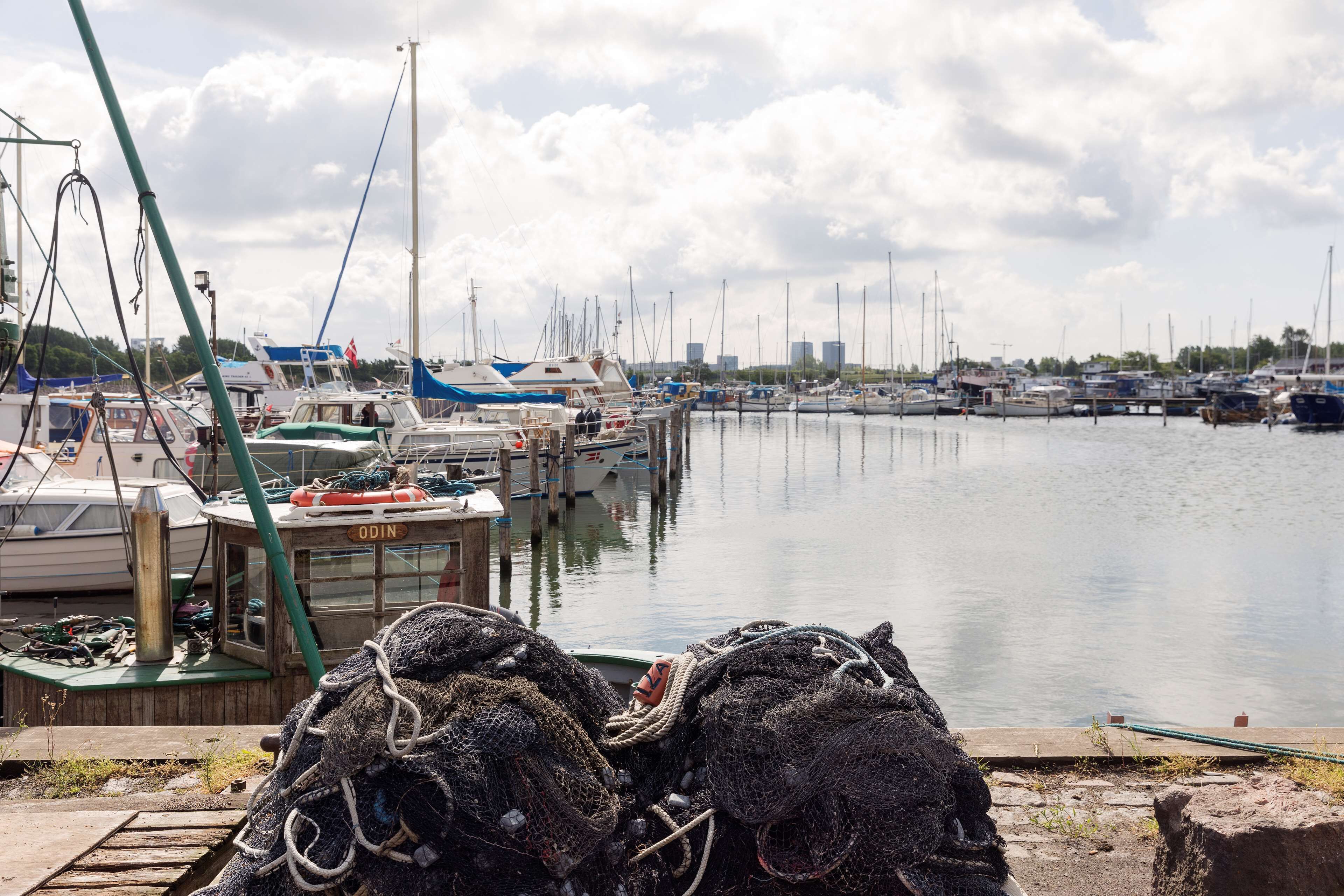 A marina with boats docked, a dock with fishing nets, and a city skyline in the background.
