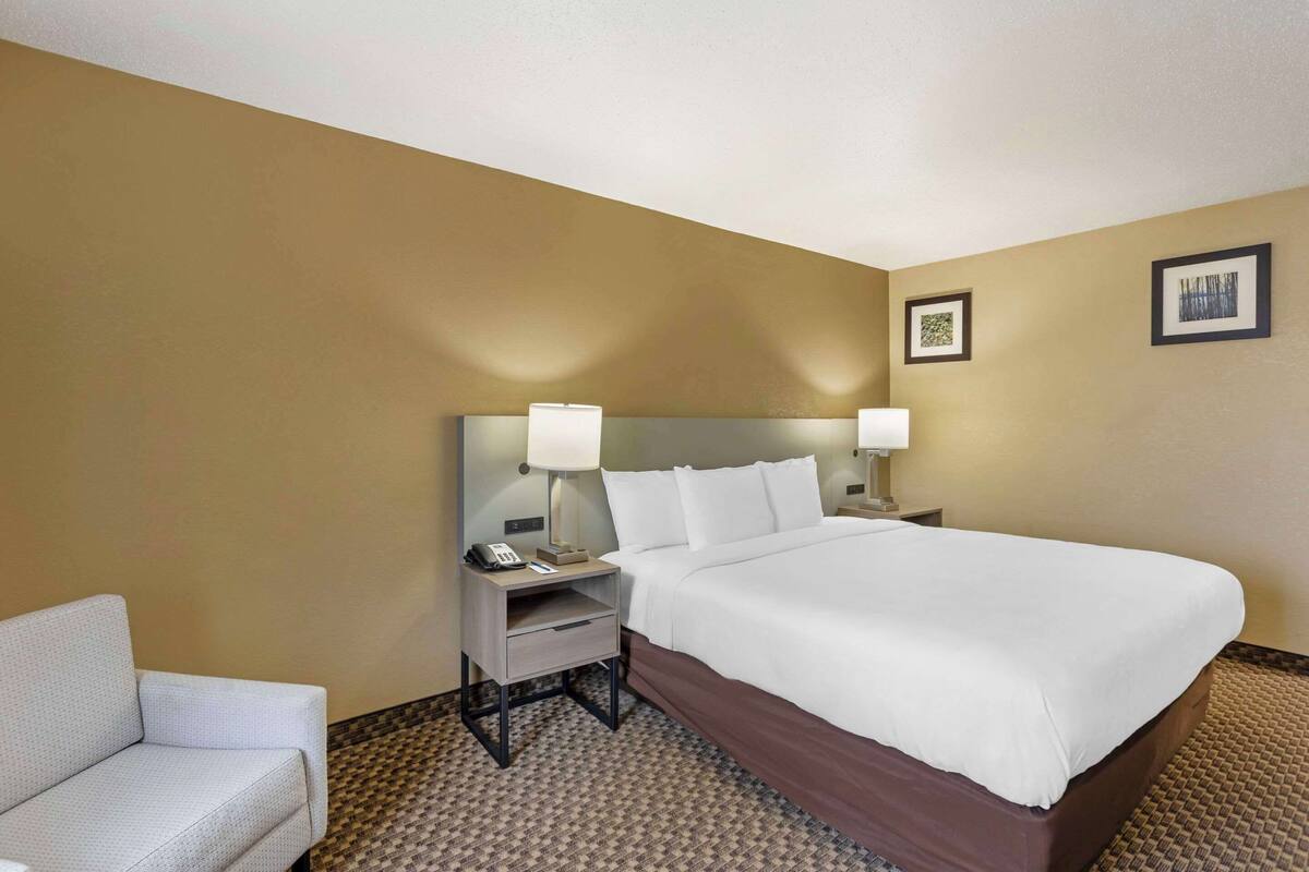 A hotel room with a large bed, two bedside tables with lamps, a chair, and a carpeted floor.
