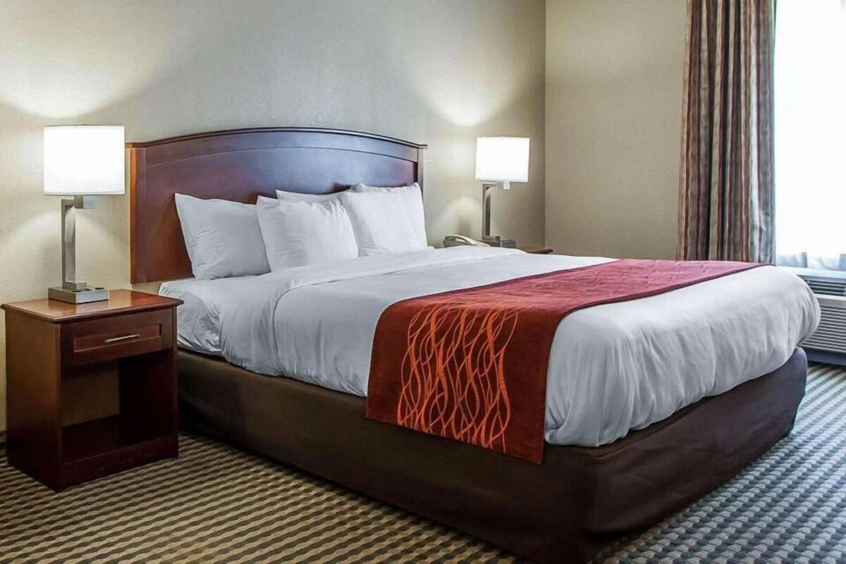 A hotel room with a large bed, two bedside tables, a nightstand, a window with curtains, and a patterned carpet.