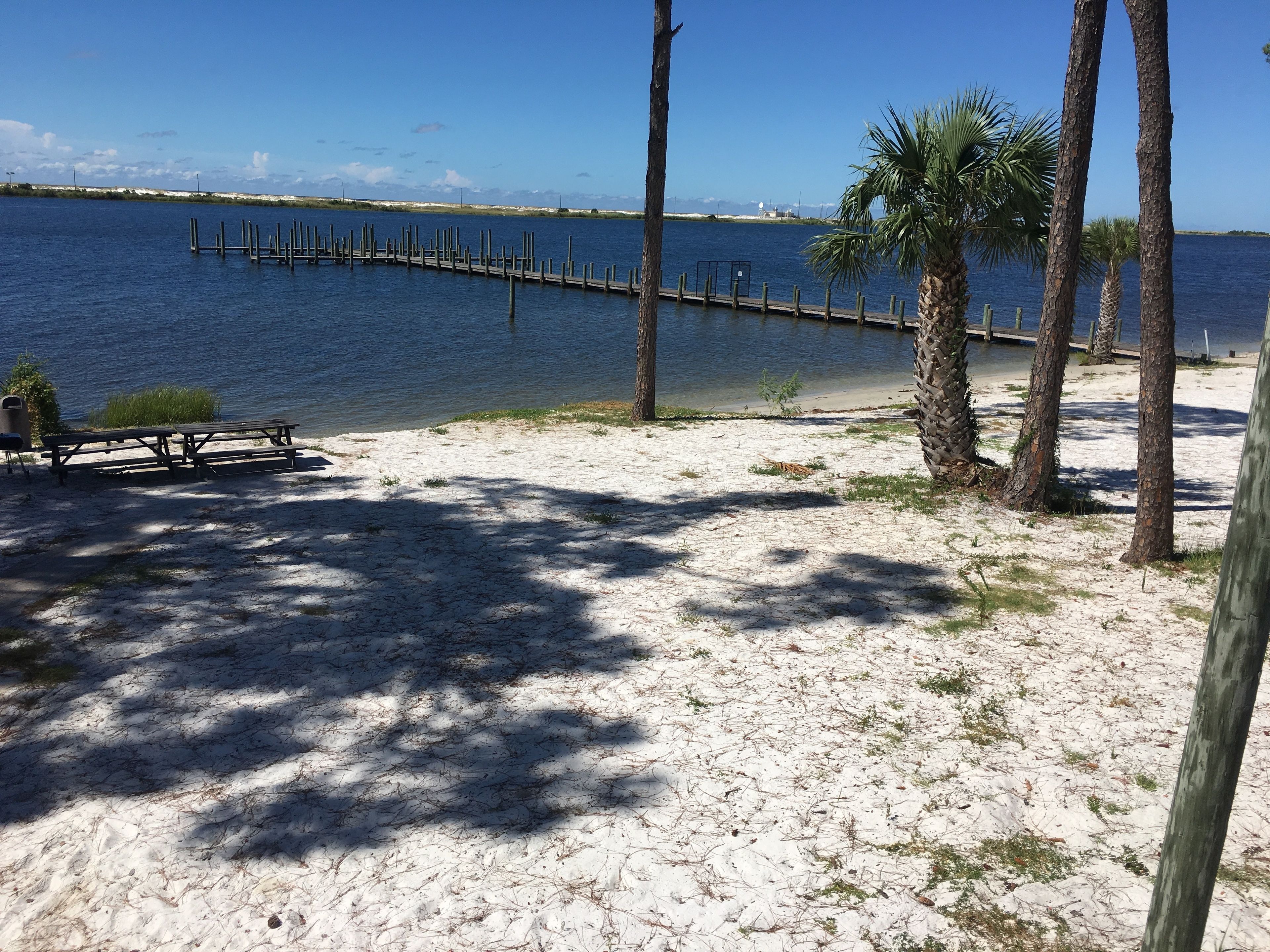 A sandy beach with a wooden pier extending into the water, palm trees, and a picnic table.