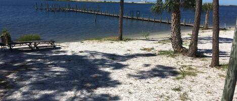 A sandy beach with a wooden pier extending into the water, palm trees, and a picnic table.