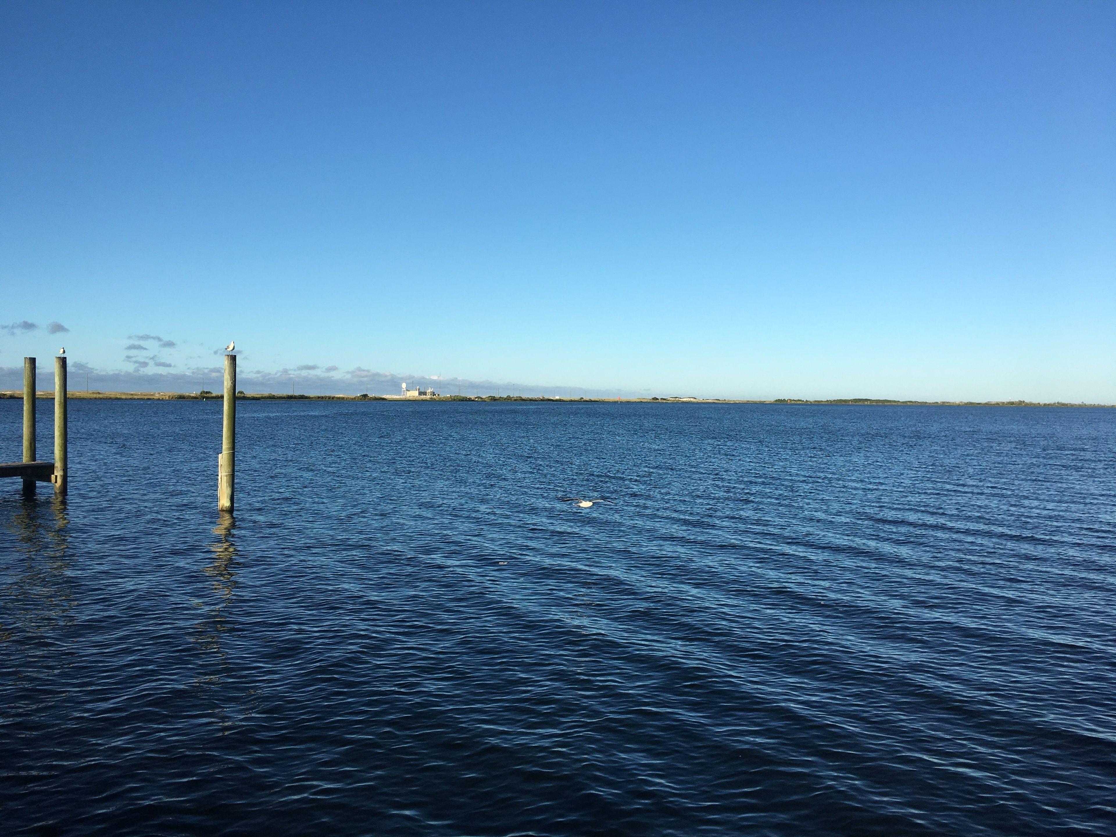 A calm body of water with wooden posts and a distant shoreline.