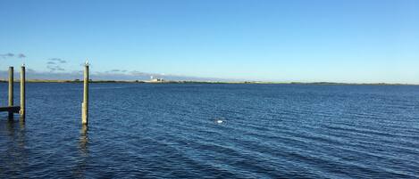 A calm body of water with wooden posts and a distant shoreline.