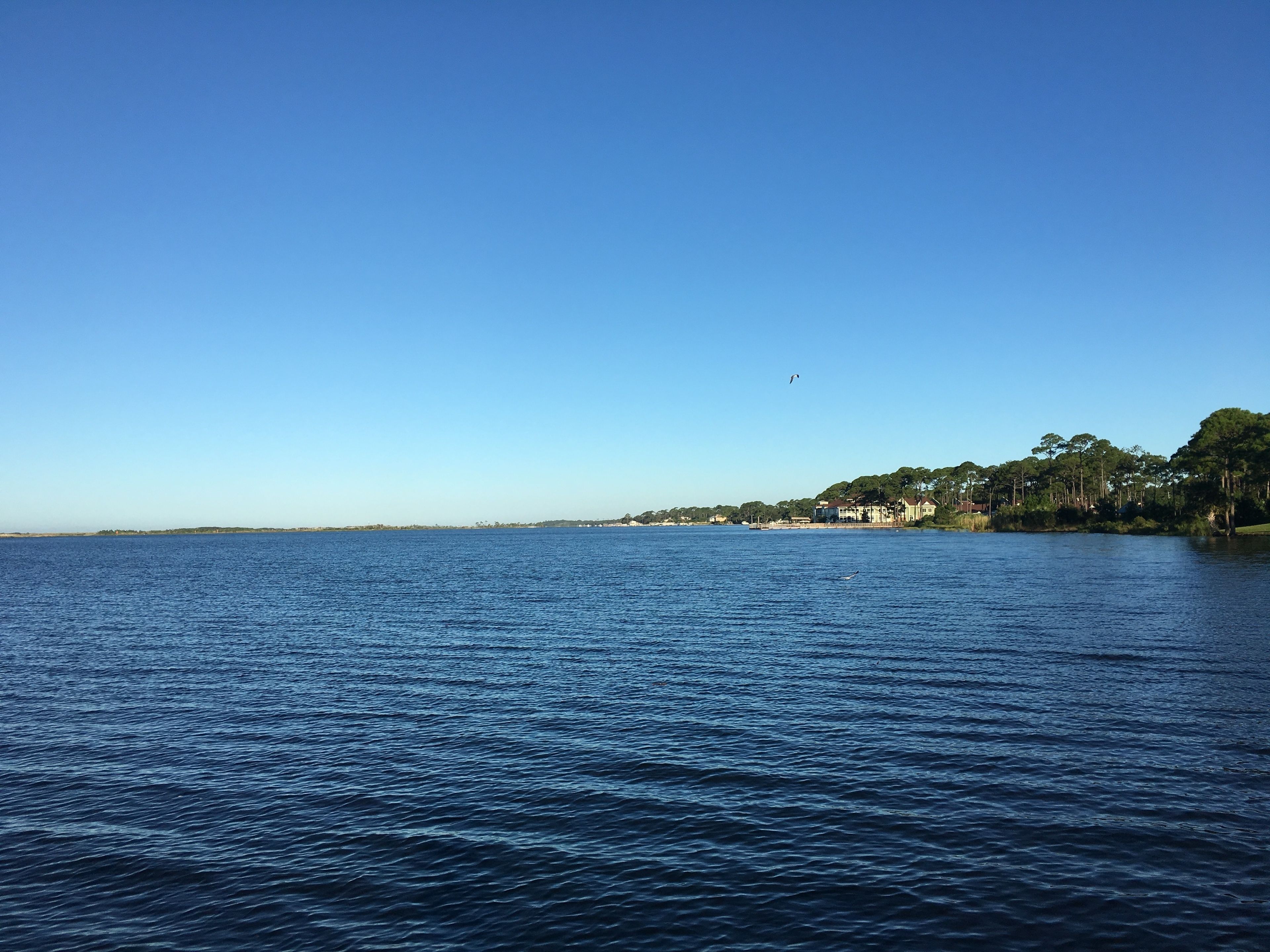 A calm body of water with a clear sky.