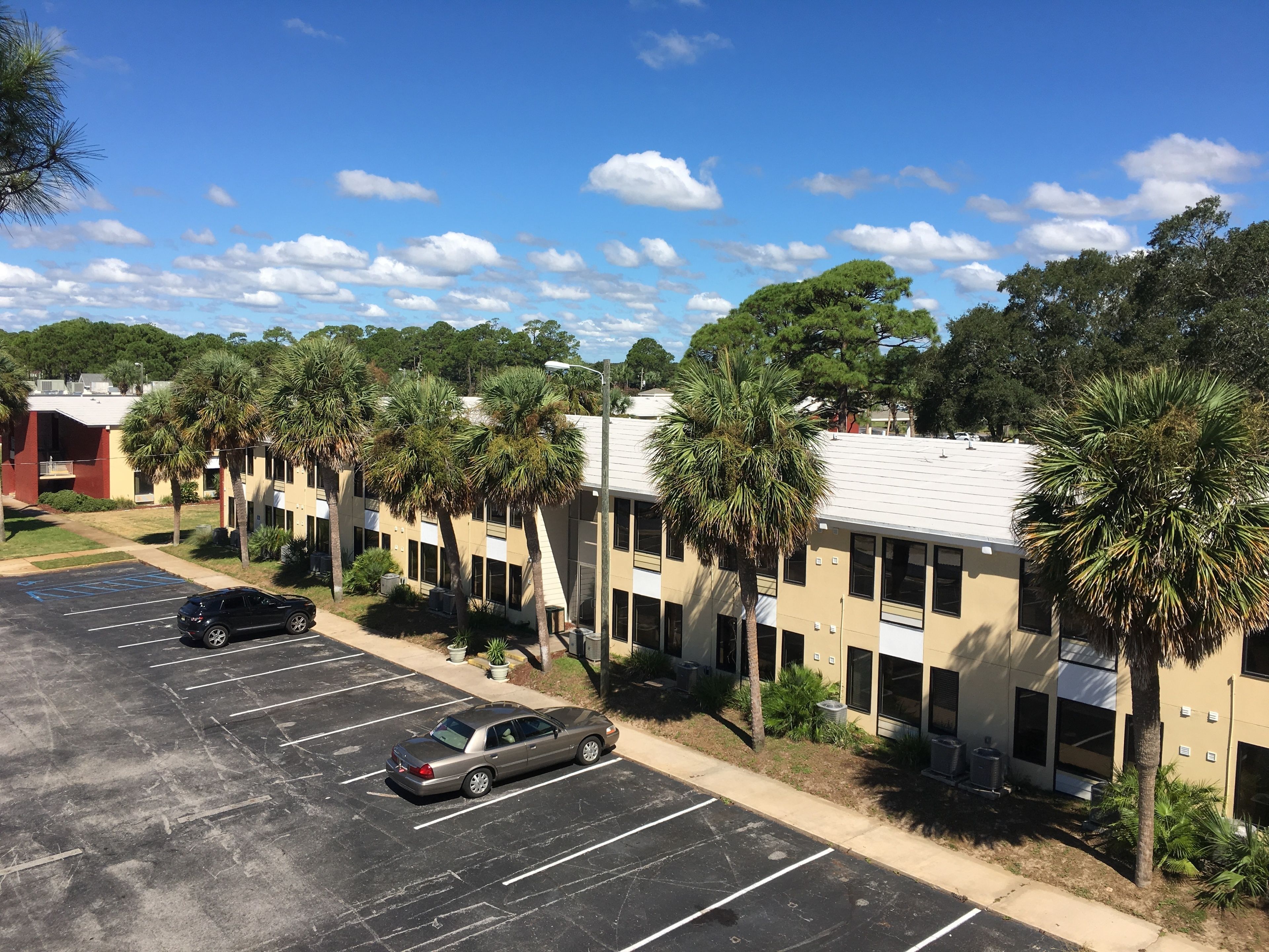 A parking lot with several cars, a row of buildings with palm trees, and a clear blue sky.