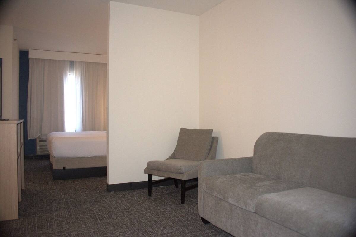 studio, 1 king bed with sofa bed | living area | tv, pay films